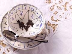 [제로피리] 찻잎 점