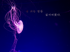 숨 쉬는 법을 잃어버렸다.