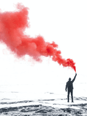 이상을 향한 이상적 편지