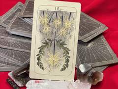 이번 주의 카드: 6 of Wands reversed