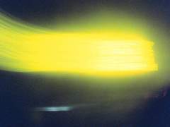 추락도 樂인가 하노라