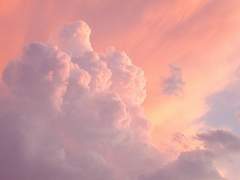 랑 개인봇 커미션