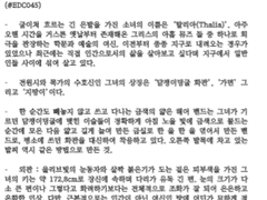 🌟글 커미션🌟