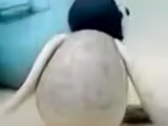 수양 숀과 암펭귄 핑가를 같이 그림판으로 그려보았습니다.