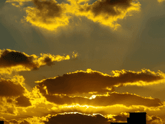 [BL] 코드네임 디시브 -1-