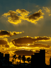 [BL] 코드네임 디시브