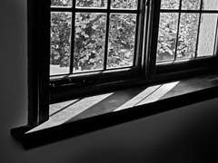 채션 / 夢來夢來人, 夜來夜來香