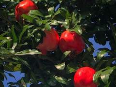 왜 그리 내게 다정한가요