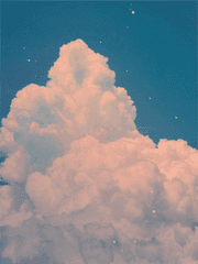 픽셀리&팀샐러드