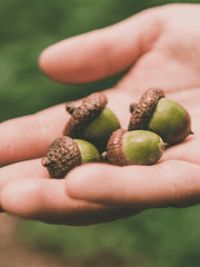 잡담 및 후기입니당