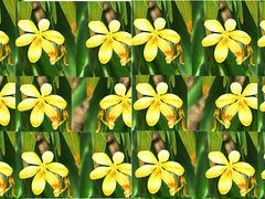 그대를 위해서라면