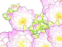 동양 덤불 벚나무