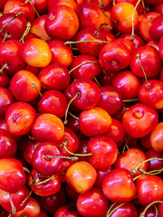 잘 아는 이제노