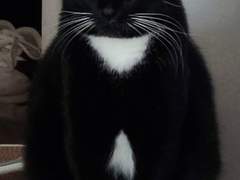 [포타전력 60시간 참여작] 변신