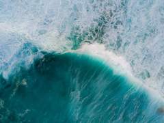 그날 우리가 나눈 약속에선 짠맛이 났다 :: 中