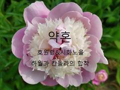 [호원령/시화노을]약혼