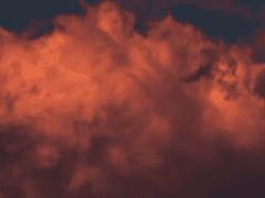 사랑과 사랑 사이