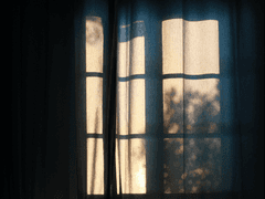 적어도 네 옆에는 내가, (下-中)