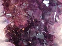 V가 사는 신기루