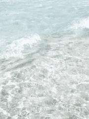 저수지 속 폭탄은 파문을 만든다