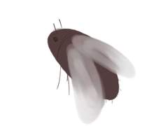 2화 이 아이는 정체가 뭘까...