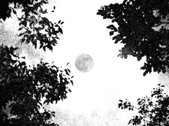 [山] 매일 그대와