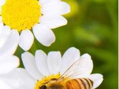 그가 보이지 않았다/이도은