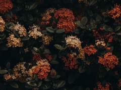 jUST lOVE : prologue