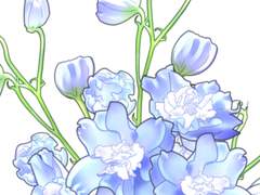 델피니움 브러쉬