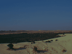 그러니까 우리가 씹던 우울이 타국에서 일란데,라는 동사로 명명됨을 알았을 때 네 얼굴을 스치던 절망을 나는 너무 늦게 알았고