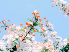 花香百里 人香萬里(화향백리 인향만리)