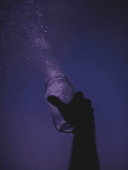 No. 17 스트레인지 네이버