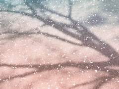 土銀 Please.. Marry me.