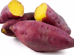 고구마 사이다 +