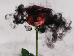 10 - 창조된 야만