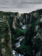 녹림왕의 첫사랑