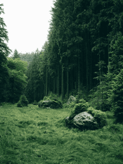 당보청명 - 순풍만범