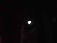 도저히 설득이 안 되는 얼룩