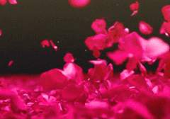 να αγαπάς παρ’ όλα αυτά