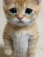 짤막짤막 단편들