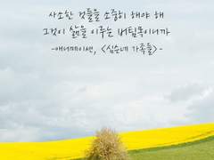 어린 시절의 추억...