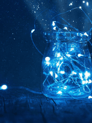 별들의 발자국 - 빈센트 데레온