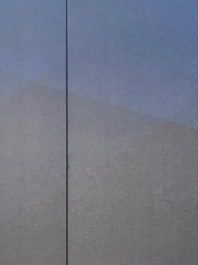 death of an idealist