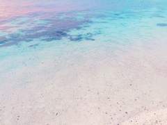 [마코하루] 홀로 하는 서약