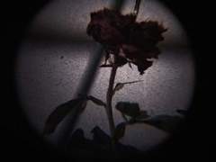 [꿍른] 토해내는 밤 3