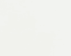 뜰팁 그림 백업