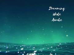 [팀장록수정수] Dreaming Wide Awake
