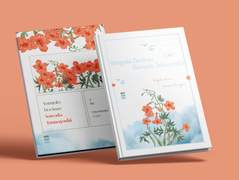 Vongola Decimo Sawada Tsunayoshi