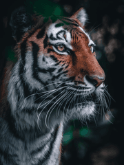 너의 마음은 어땠니