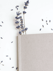 특별한 날의 일기